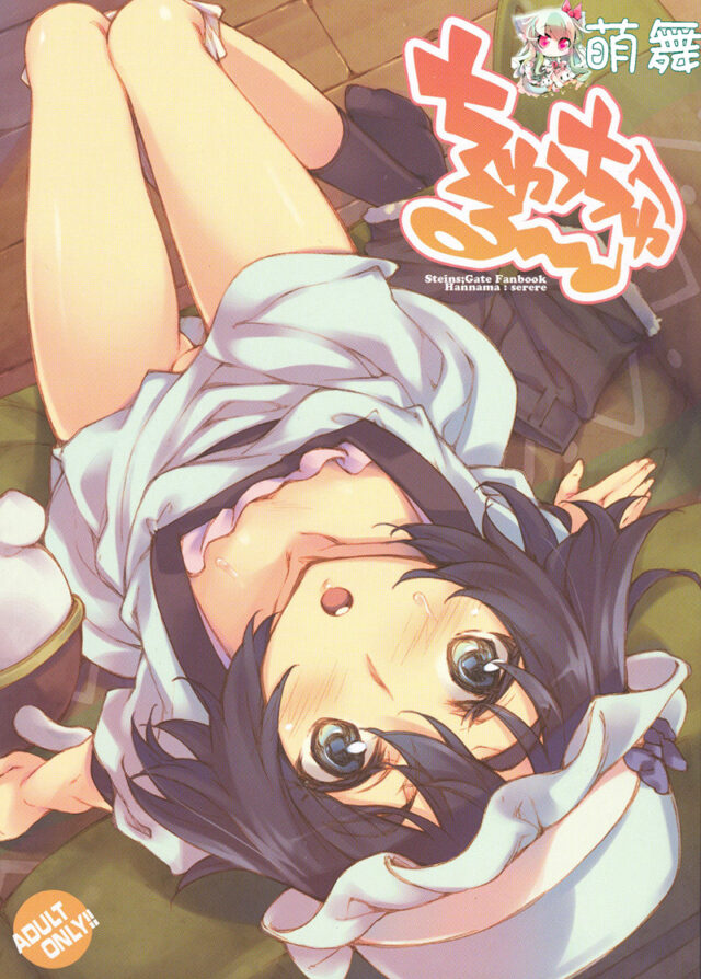 命运石之门 汉化同人本子合集39本