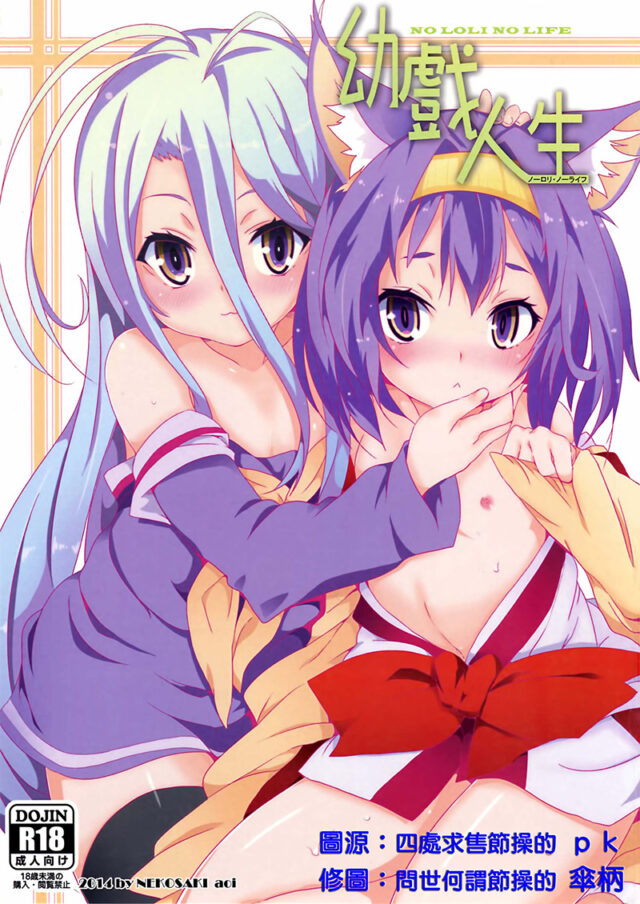 NO GAME NO LIFE游戏人生 汉化同人本子合集9本