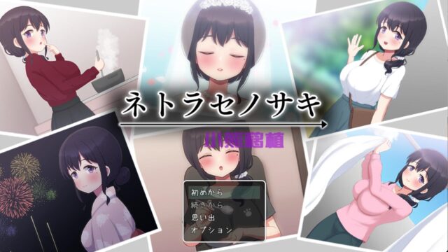 【SLG汉化】NTR 将妻子送给他人~ネトラセノサキ 云翻汉化版[PC+安卓1.52G]