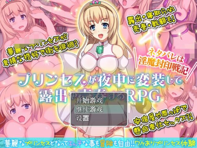 【日式露出RPG/汉化】公主卖春奋斗记 PC+安卓金翻汉化版+全CG [300M]