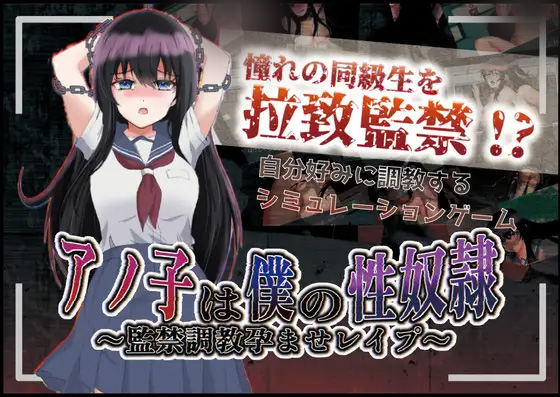 【日系RPG/GPT汉化】アノ子は僕の姓奴隷 〜監禁調教孕ませレイプ 那孩子是我的姓奴之监禁调o教1.01汉化版[PC+安卓1.78G]