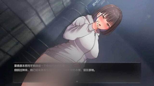 【RPG/汉化】女高中生的露出 夜歩き Night Stroll PC+安卓汉化版 [2G]