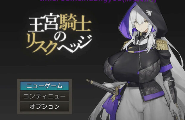 【日式RPG/AI汉化】王宫骑士的风险对冲 王宮騎士のリスクヘッジ AI汉化版 [300M/新作]